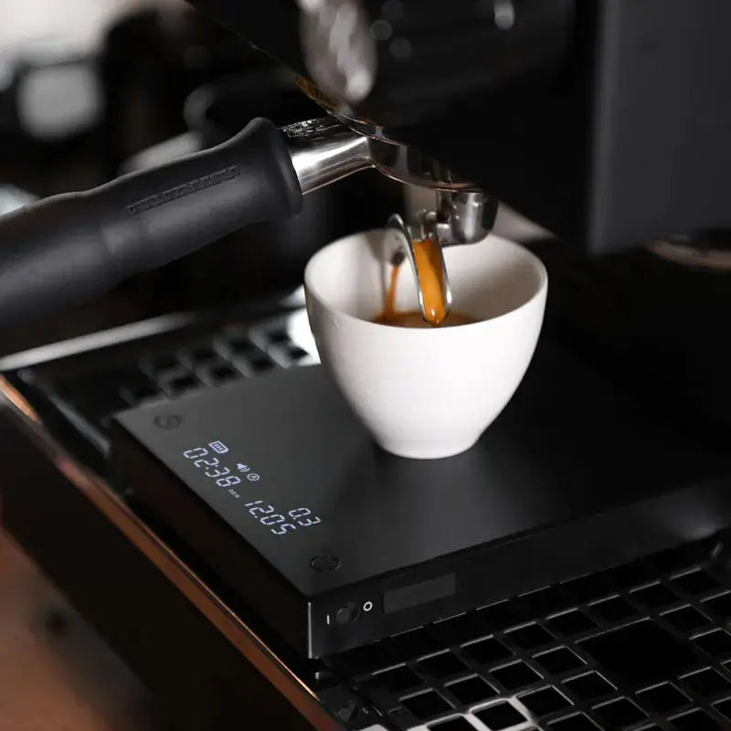 Barista-Gear Mooring Coffee Co Ltd